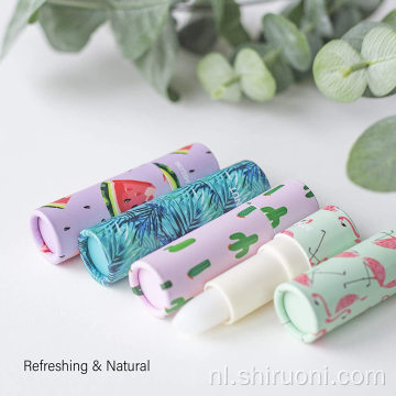 Fruit Smaak Voedende Lippenbalsem Stick Tube